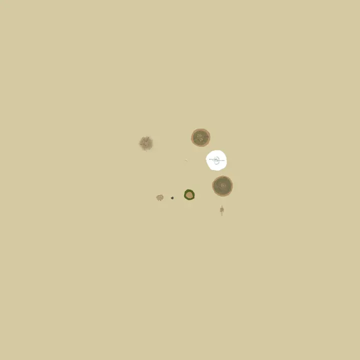 Map of A Rust Server